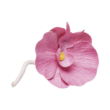 2230CFIORE