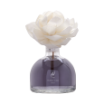 250ml