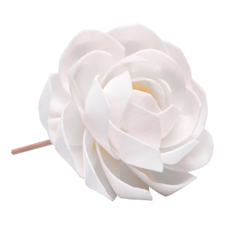 2231FIORE