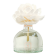 250ml