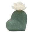 11,5cm