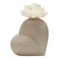 11,5cm