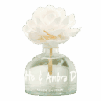 250ml